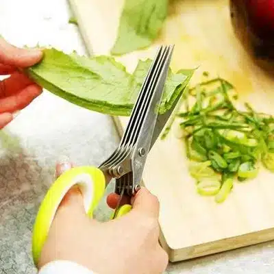 Vegetable cutting sciss...