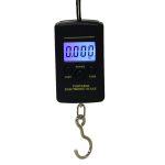 Digital Scale